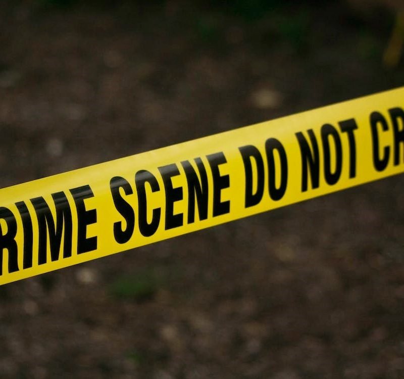 Top 5 Crime Thrillers to Grab this Summer
