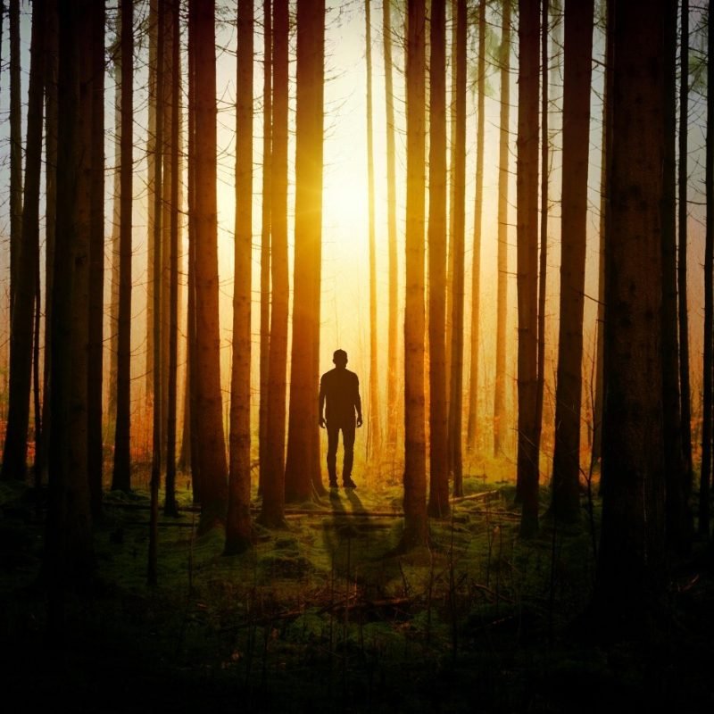 Best Mystery Thriller Books of 2024