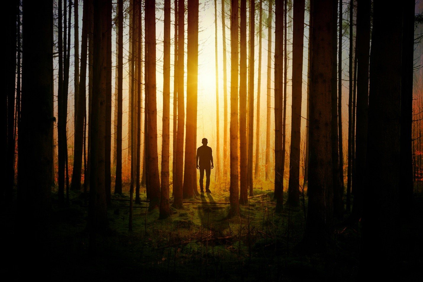 Best Mystery Thriller Books of 2024